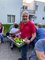 Bilder