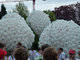Jugendwarnstreik, 08.05.2012